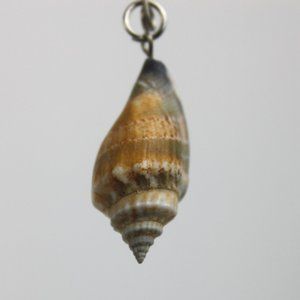 Seashell Conch Necklace Charm
